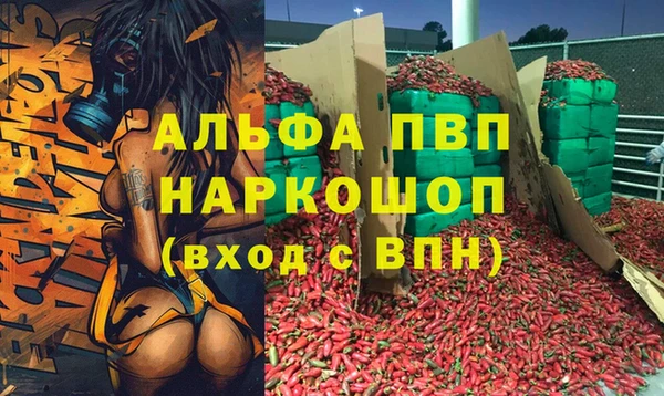 прущий лед Михайлов